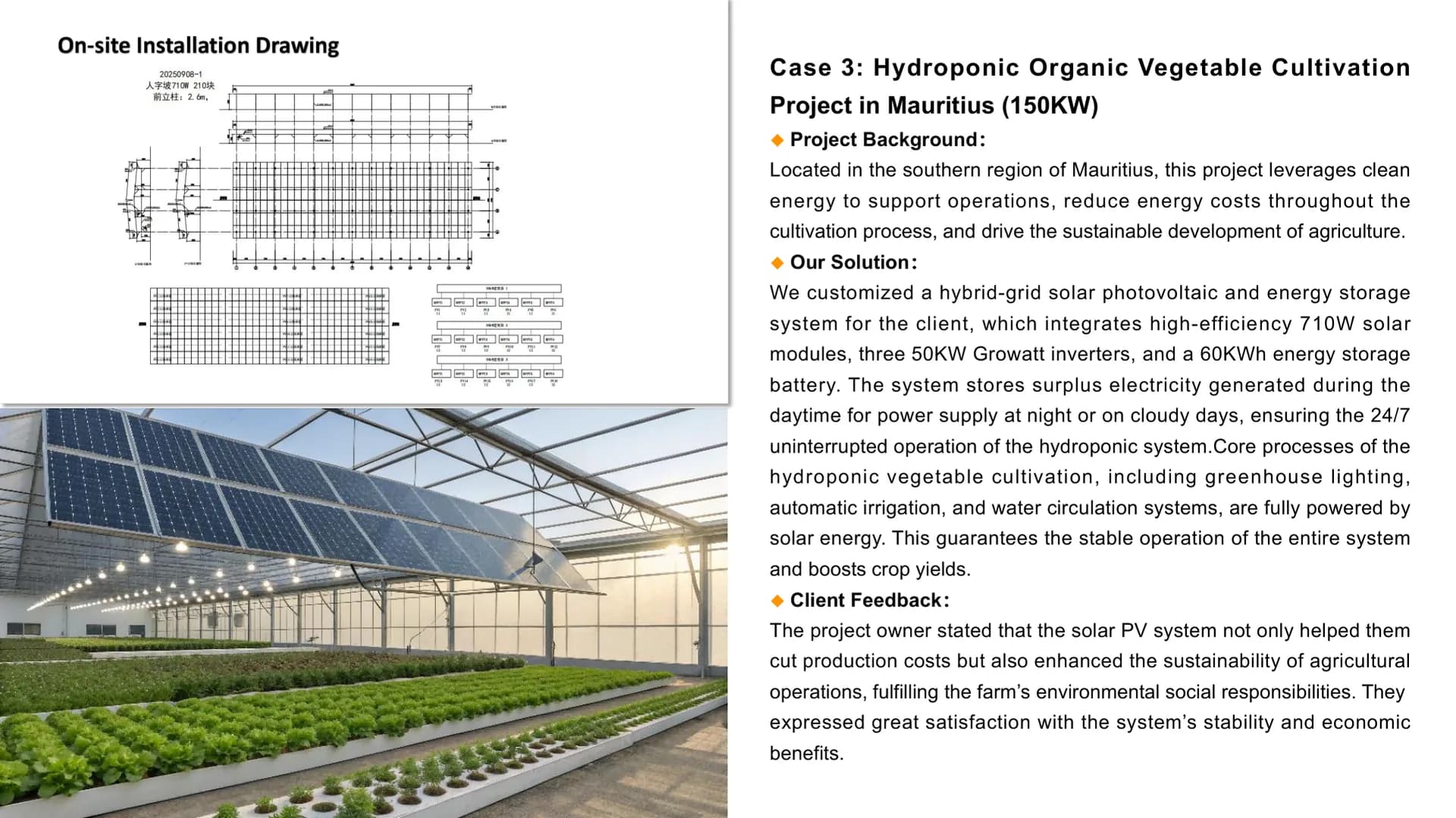 150 kW Hybrid — Hydroponic Farm, Mauritius — project reference image